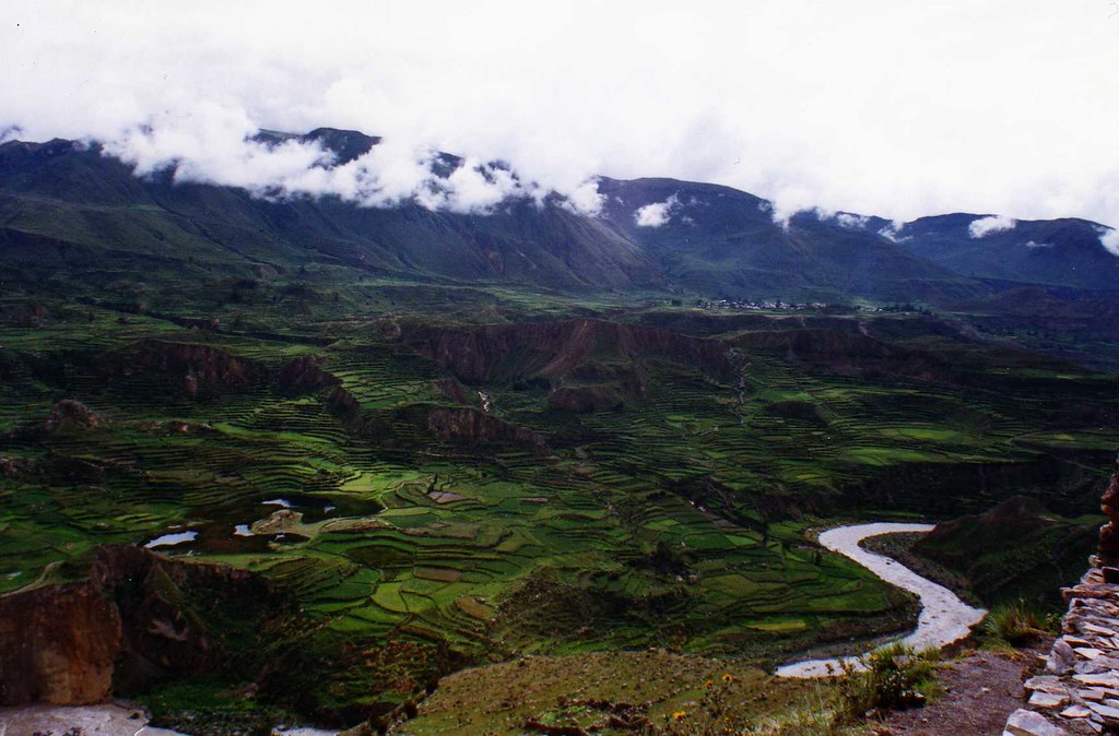 Terrazzamenti lungo il Canyon del Colca