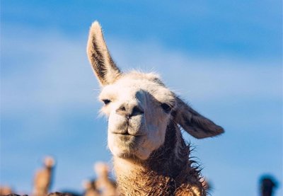 Comprar Boletos en Machu Picchu – Presencial 2026