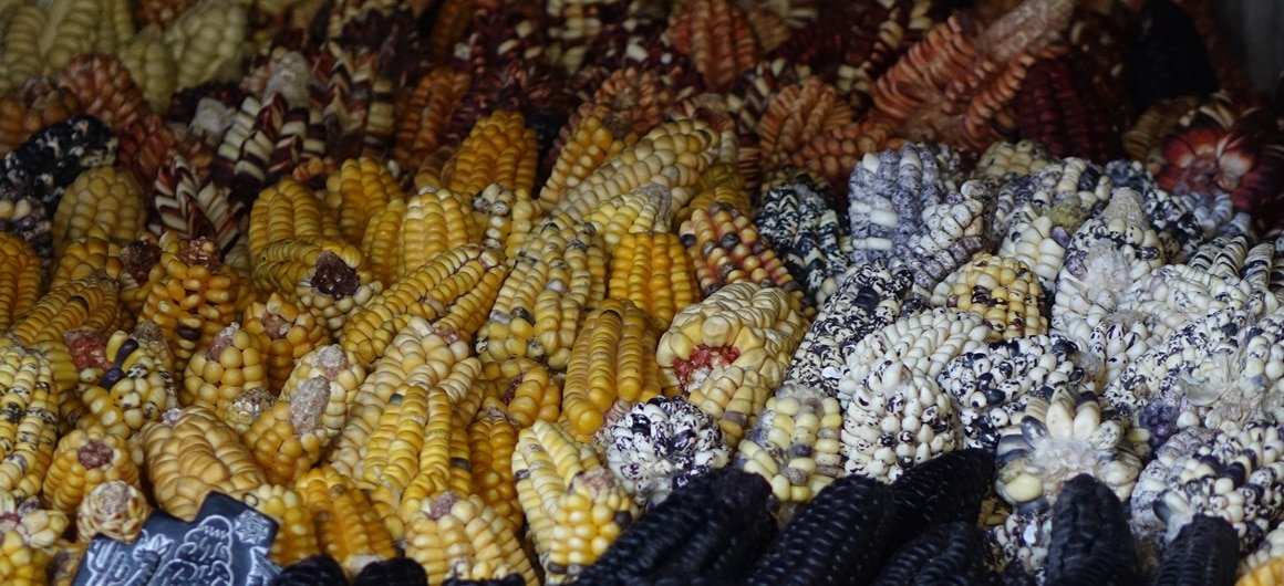  Mercado San pedro Cusco