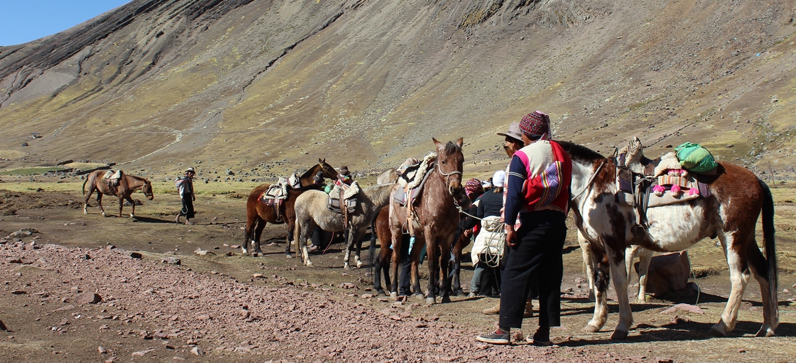 Arrieros en la montaña de los siete Colores en Cusco