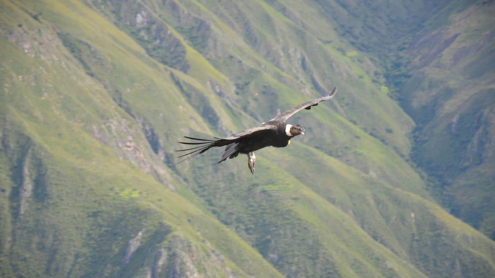 Cañón del Condor en Cusco