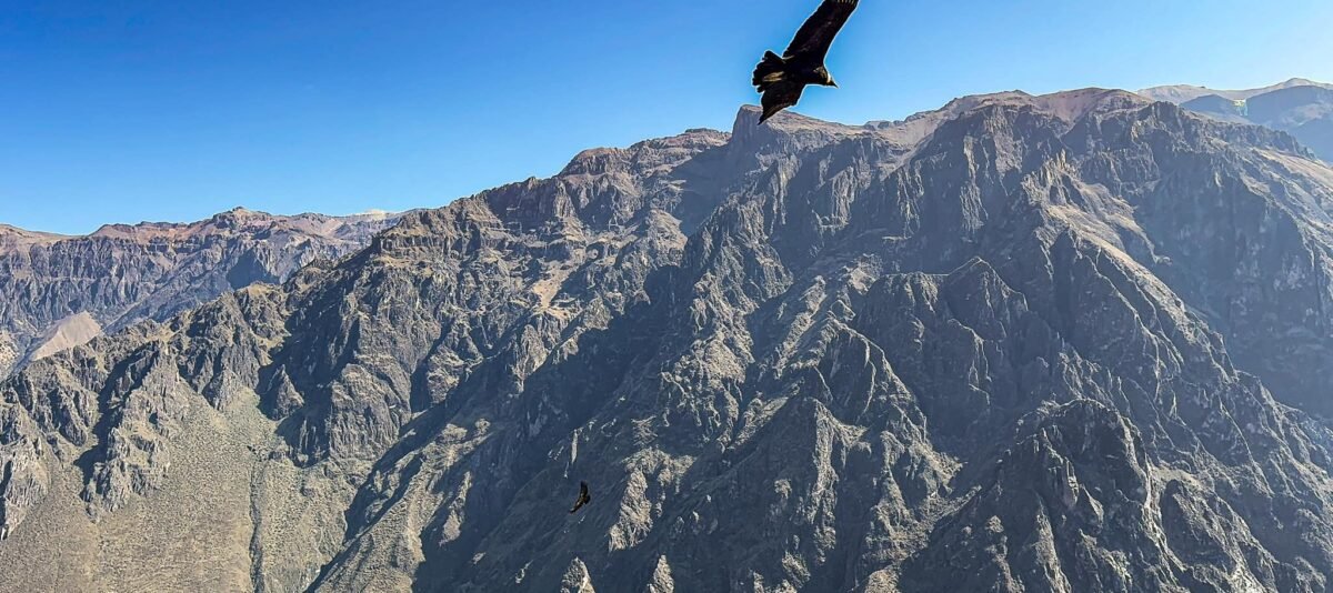 cañon del condor