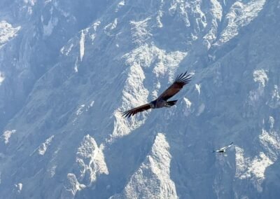 Cañón del Condor en Cusco: Una aventura fenomenal este 2025