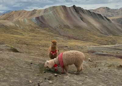Fascinante Visita a Palcoyo desde el Valle Sagrado de los Incas Fascinante Visita a Palcoyo desde el Valle Sagrado de los Incas