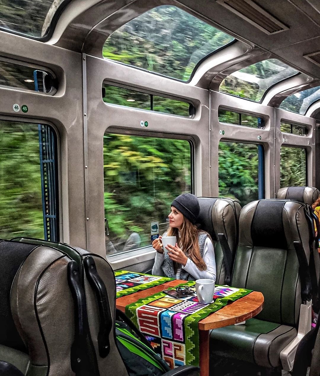 Visita a Machu Picchu en Trenes Vistadome